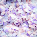 Biodegradable Confetti | Proper Confetti
