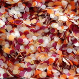 Autumnal Confetti Circles - Biodegradable Confetti by Proper Confetti