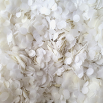 White & Cream Confetti Circles - properconfetti.myshopify.com