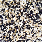 Biodegradable Petal Confetti in Black and Ivory - Proper Confetti