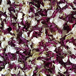 Burgundy & Ivory Petal Confetti - properconfetti.myshopify.com