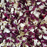 Burgundy & Ivory Petal Confetti - properconfetti.myshopify.com