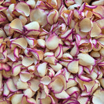 Large, dried rose petals in ivory cream rose with plum edges. Natural petal confetti. 