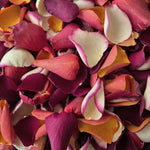 Colourful flower petal confetti in shades of red, burgundy, ivory and burnt orange.