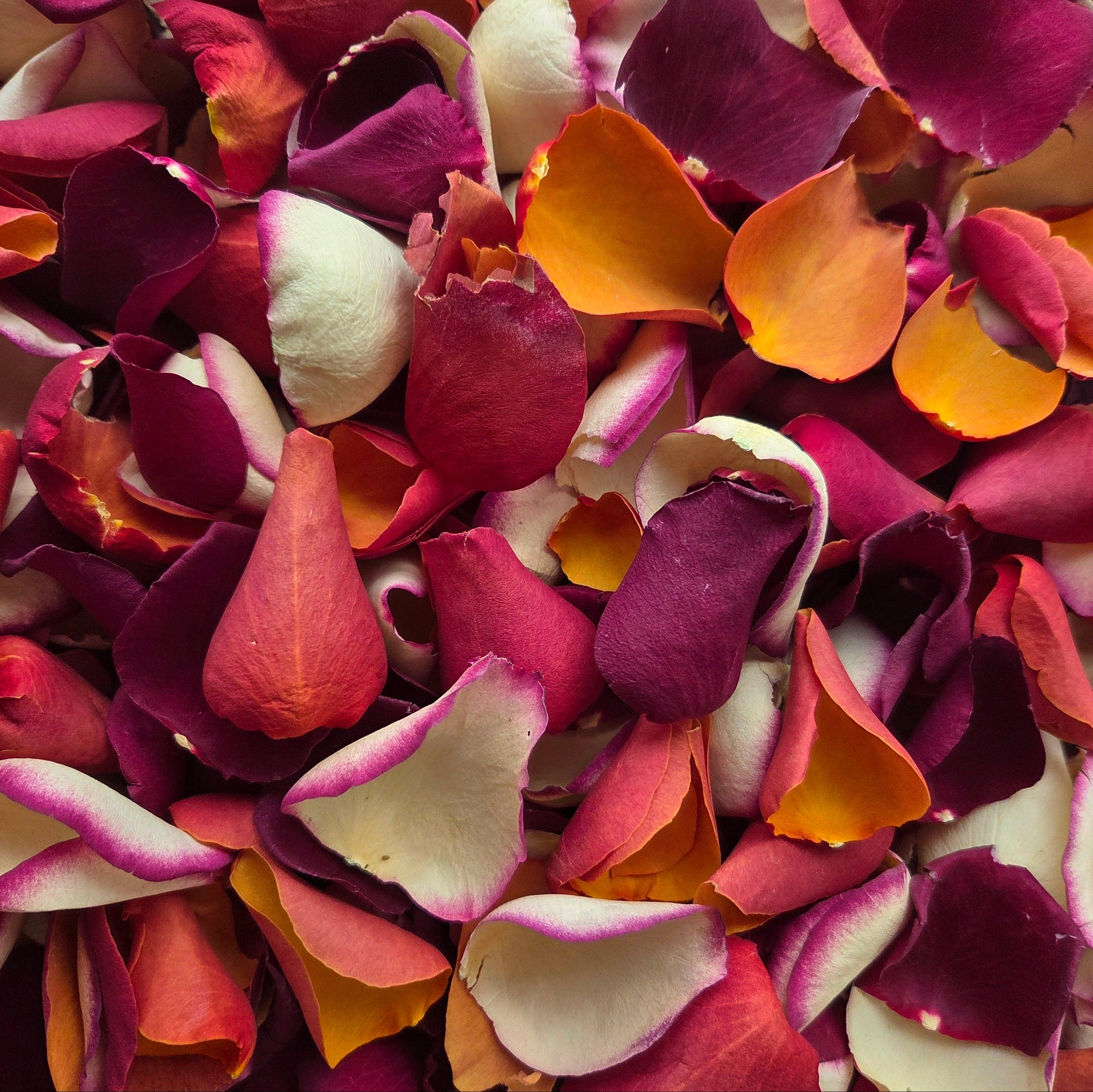 Biodegradable Confetti. 50 guests. SUMMER BERRIES. Naturally dried flower petals. Wedding confetti. Rose petal confetti Biodegradable Confetti. 50 guests. SUMMER BERRIES. Naturally dried flower petals. Wedding confetti. Rose petal confetti