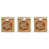 Kraft Eco Merry Christmas Gift Bag