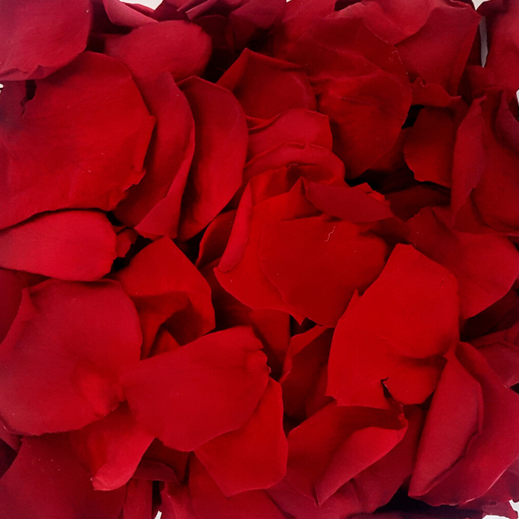 Red Rose Petal Confetti - Proper Confetti