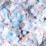 Peach, Blue and White Confetti Circles - Biodegradable Confetti by Proper Confetti