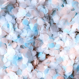 Peach, Blue and White Confetti Circles - Biodegradable Confetti by Proper Confetti