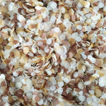 Earthy Neutrals Confetti Circles - Biodegradable Confetti | Proper Confetti