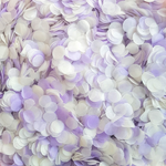 Lilac & Ivory Confetti Circles - properconfetti.myshopify.com