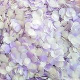 Lilac & Ivory Confetti Circles - properconfetti.myshopify.com