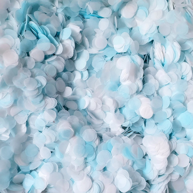 Blue & White Biodegradable Confetti | Proper Confetti