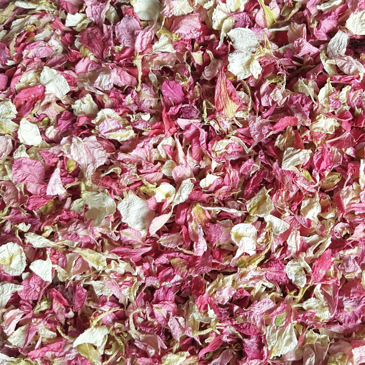 Petal Confetti in Fuschia Pink - Proper Confetti
