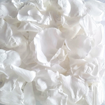 White Rose Petal Confetti - Proper Confetti