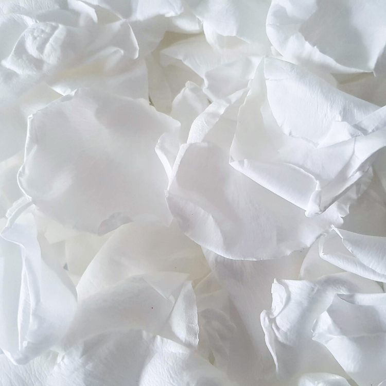 White Rose Petal Confetti - Proper Confetti