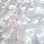 White Rose Petal Confetti - Proper Confetti