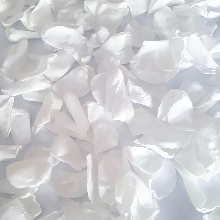 White Rose Petal Confetti - Proper Confetti
